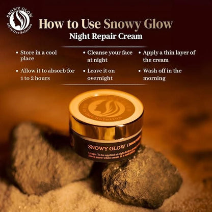 Vionera Snowy Glow face Cream 100ml || Night Glow